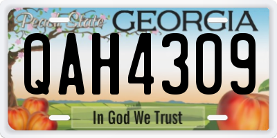 GA license plate QAH4309