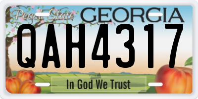 GA license plate QAH4317