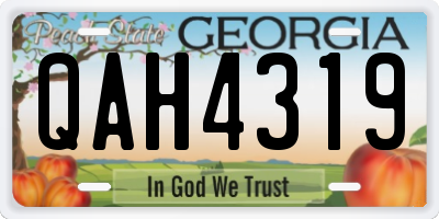 GA license plate QAH4319