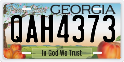 GA license plate QAH4373
