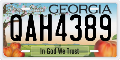 GA license plate QAH4389