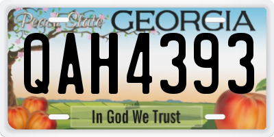 GA license plate QAH4393