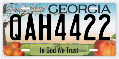 GA license plate QAH4422