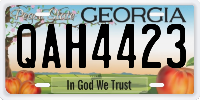 GA license plate QAH4423