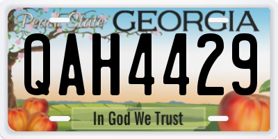 GA license plate QAH4429