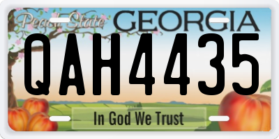 GA license plate QAH4435