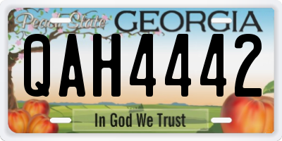 GA license plate QAH4442