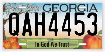 GA license plate QAH4453