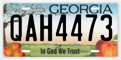 GA license plate QAH4473