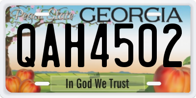 GA license plate QAH4502