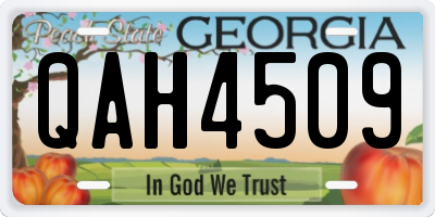 GA license plate QAH4509