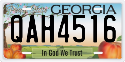 GA license plate QAH4516