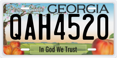 GA license plate QAH4520