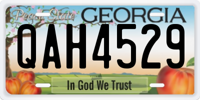 GA license plate QAH4529