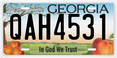 GA license plate QAH4531