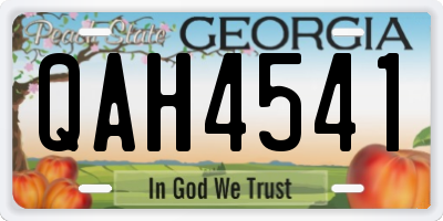 GA license plate QAH4541