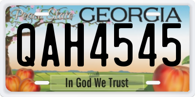 GA license plate QAH4545