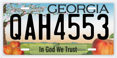 GA license plate QAH4553