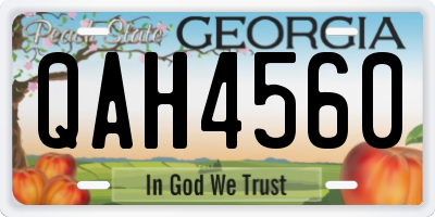 GA license plate QAH4560
