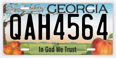 GA license plate QAH4564