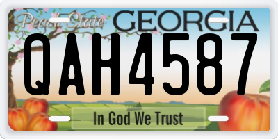 GA license plate QAH4587