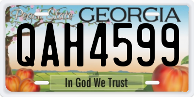 GA license plate QAH4599