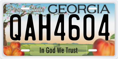 GA license plate QAH4604