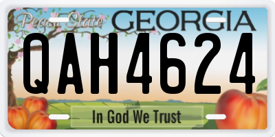 GA license plate QAH4624