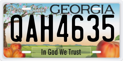 GA license plate QAH4635