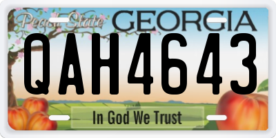 GA license plate QAH4643