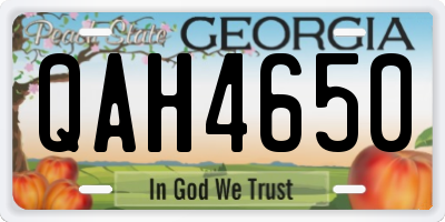 GA license plate QAH4650