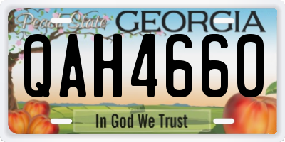 GA license plate QAH4660