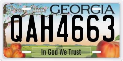 GA license plate QAH4663