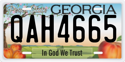 GA license plate QAH4665