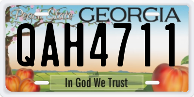 GA license plate QAH4711