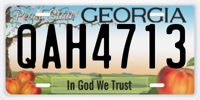 GA license plate QAH4713