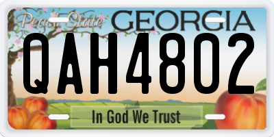 GA license plate QAH4802