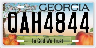 GA license plate QAH4844