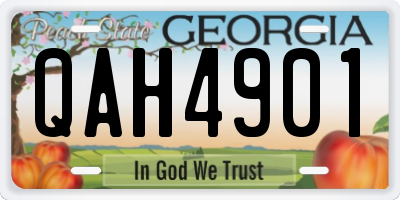 GA license plate QAH4901
