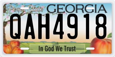 GA license plate QAH4918