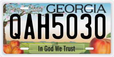 GA license plate QAH5030