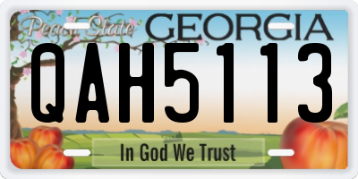 GA license plate QAH5113