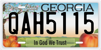 GA license plate QAH5115