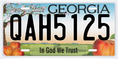 GA license plate QAH5125