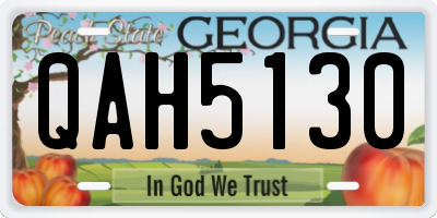 GA license plate QAH5130
