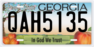 GA license plate QAH5135