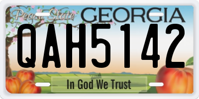 GA license plate QAH5142