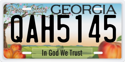 GA license plate QAH5145