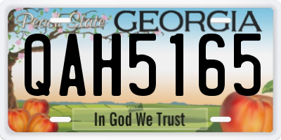 GA license plate QAH5165