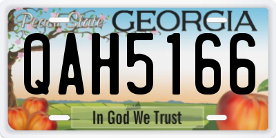 GA license plate QAH5166